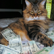 Illustration for article titled How to Make $7500 a Week by Working at Home with Google